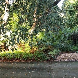 Meet your Posher, Corina